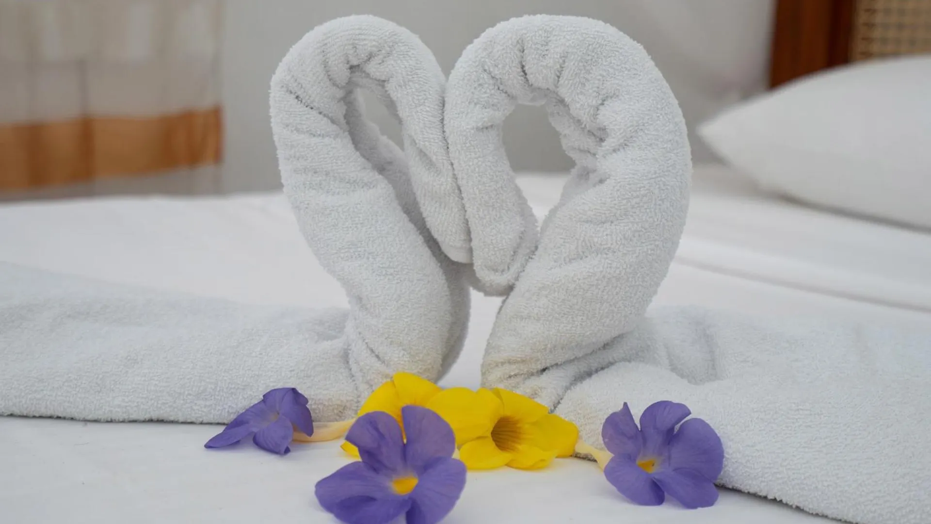 Little Villa Tourist Inn Negombo